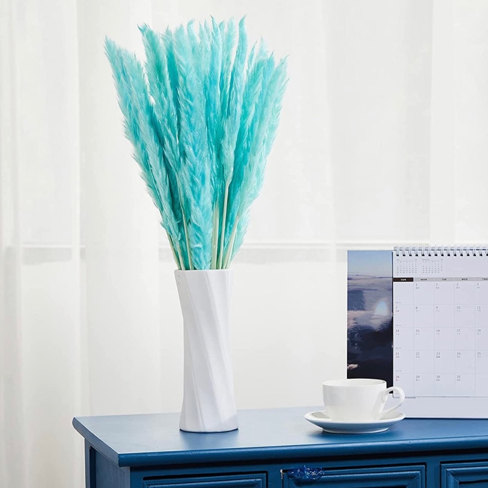 Blue pampas grass
